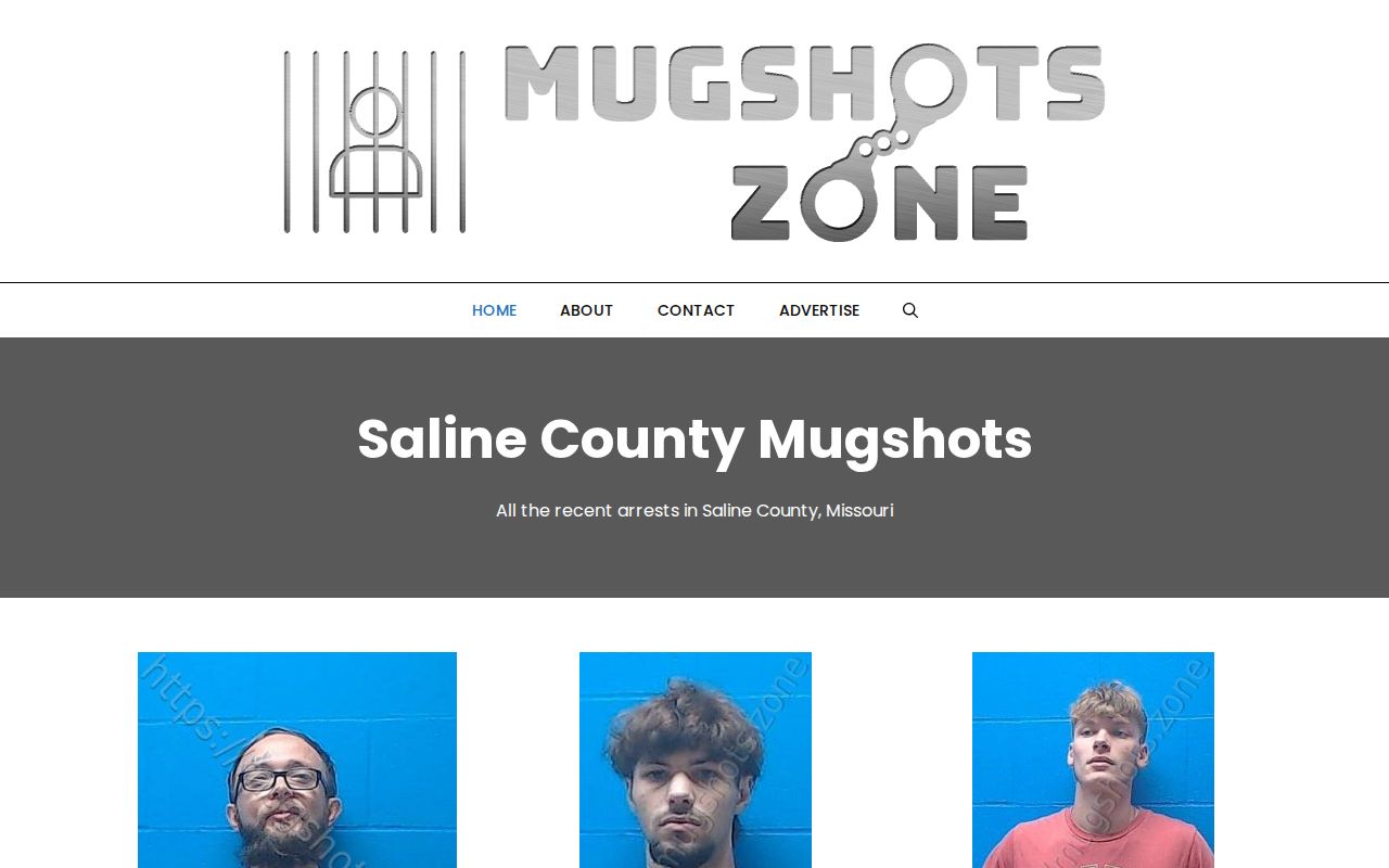 Saline County unofficial third-party arrest-record landscape